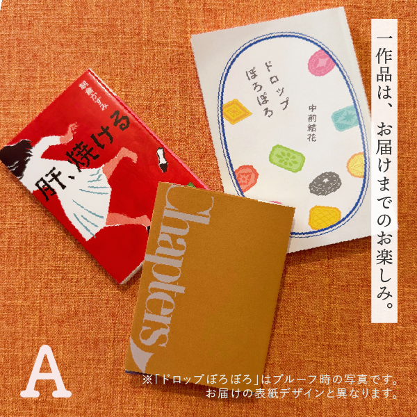 チャプターズ5周年記念選書BOX - きゅんっと胸が疼く3作品【A】